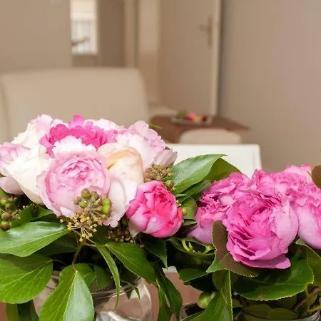 Appartement St Germain Des Pres,